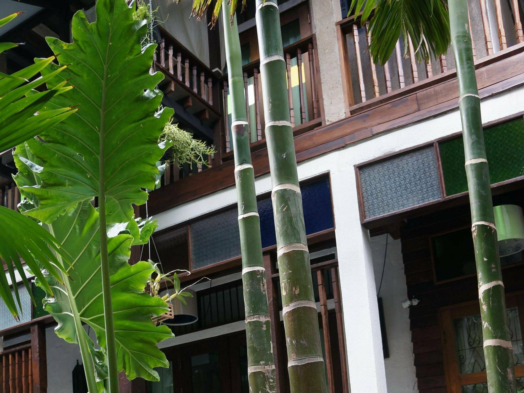 Ban Chang Tong Chiang Mai Exterior foto
